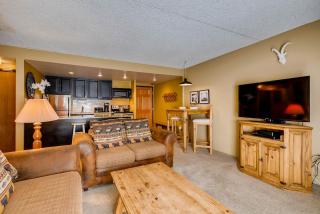 Trails End 219 by Ski Country Resorts - 7