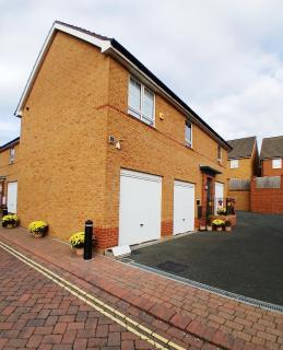 Marina & Seagulls - 5