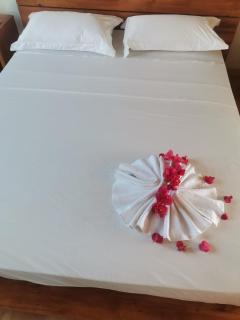 Villa Ti Kabri, 500 m de la plage, Ile Rodrigues, Ile Maurice - 8