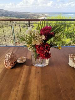 Villa Ti Kabri, 500 m de la plage, Ile Rodrigues, Ile Maurice - 6