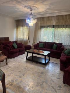 Abdoun apartment with a garden - 6