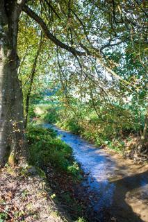 Gite Au Détour du Morin - 2