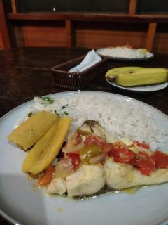 JARDIN DE LAS MUSAS - 2