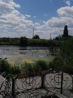 Будиночок біля лісу - 9