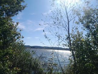 Будиночок біля лісу - 6