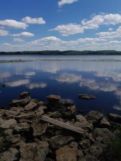 Будиночок біля лісу - 1