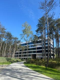 Apartament Krab AKTENA Shellter Rogowo - 9