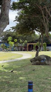 Central and comfortable mini apartment in San Sebastian - 9