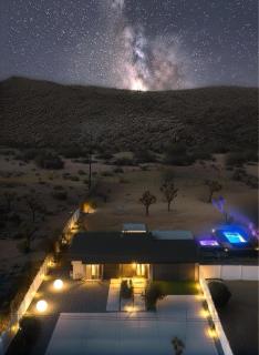 Zenity Joshua tree - 1