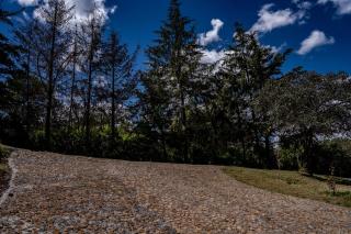 Hotel Boutique Cielito Lindo - 6