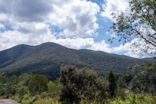 Hotel Boutique Cielito Lindo - 5