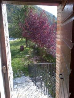 Vigna Renaro Royal - 4