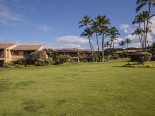 Wailea Ekahi Village 42D - 7