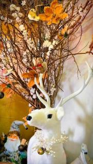 Pôr-do-Sol Pousada - 9