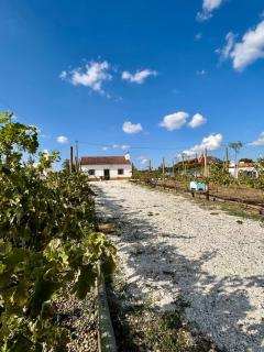 Monte da Rochela - 0