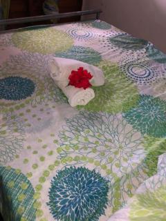 PASSION de PARADIS - 2