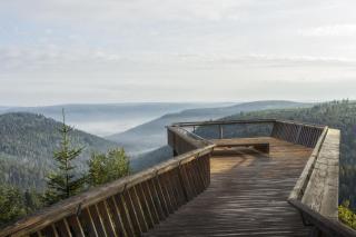 Ferienwohnung am Leinbach, nahe Freudenstadt, Weihnachtsmarkt vom 04 bis 14 Dezember in Freudenstadt - 3