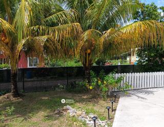 Zinnia Apartments Antigua - 1