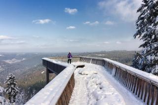 Ferienwohnung am Leinbach, nahe Freudenstadt, Weihnachtsmarkt vom 04 bis 14 Dezember in Freudenstadt - 2