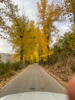 Apartamento LORETO - Hotel Ruta del Segur - 6