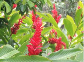 Domaine de Lauréal - 4