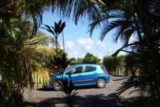 Domaine de Lauréal - 2