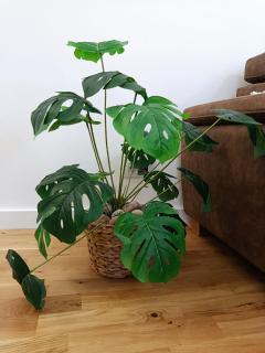 Apartman Simonović Kolašin - 3