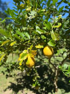 HomeandHomestay Chiang Kham - 3