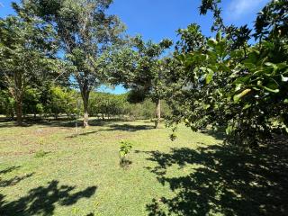 HomeandHomestay Chiang Kham - 4