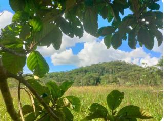 Santa Barbara Lodge - 2