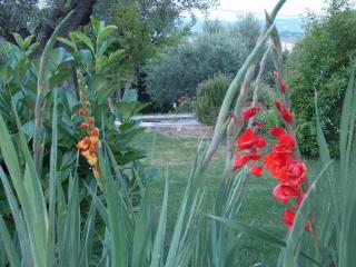 B&B La Torretta - 5