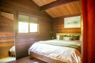 Mid-century Cabin Hideaway - Hot Tub & Fire Pit - 2