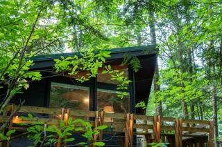 Mid-century Cabin Hideaway - Hot Tub & Fire Pit - 1