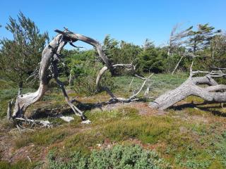 Surf Paradise in Klitmoller - By Traum Ferienwohnungen - 3
