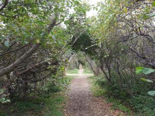 Surf Paradise in Klitmoller - By Traum Ferienwohnungen - 1
