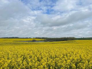 6 person holiday home in Thisted-By Traum - 3