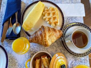 Pousada Terra dos Pássaros - 8