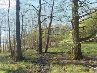 4 person holiday home in Snedsted-By Traum - 2