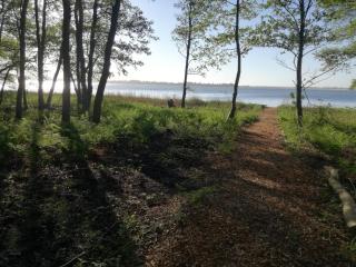 4 person holiday home in Snedsted-By Traum - 3