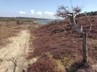 Scenic Retreat in Boddum - By Traum Ferienwohnungen - 7