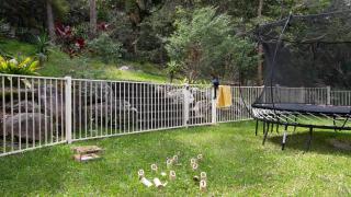 Walk To Beach, Pet Friendly Trampoline - 3