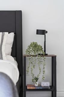 Scarborough Oasis near UofT campus, Free Parking - 7