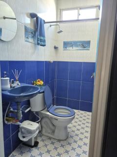 Refugio Nuevo Bosque - 6