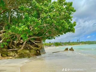 Caribbean Bliss 4-BR Villa steps form the sea - 9