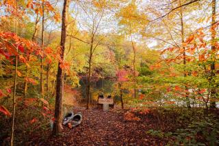 Waterfront A Frame with Dock Canoe Kayaks Family - 2