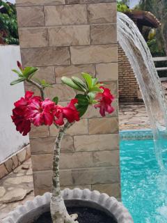 Solange apartment-Casa em Ilheus-Olivença - 7