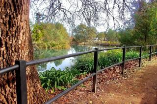 Waterviews - Hidden Gem in CBD - Sleeps 10 - 5