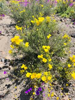 Departamento en Bahía Inglesa full equipado - Wifi y cable - 6