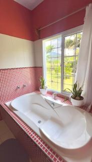 Casa LuzLago-Lago de Yojoa - 6