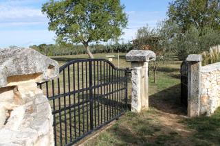 Apartments with parking space Krnica, Marcana - 7358 - Krnica - 2